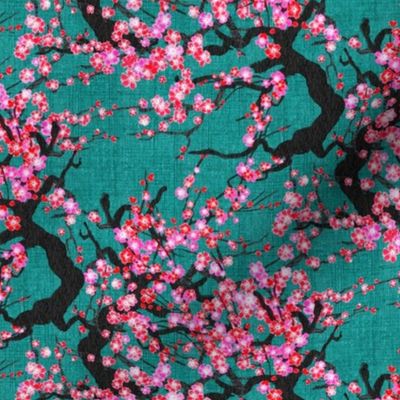 Cherry Blossom Orcha