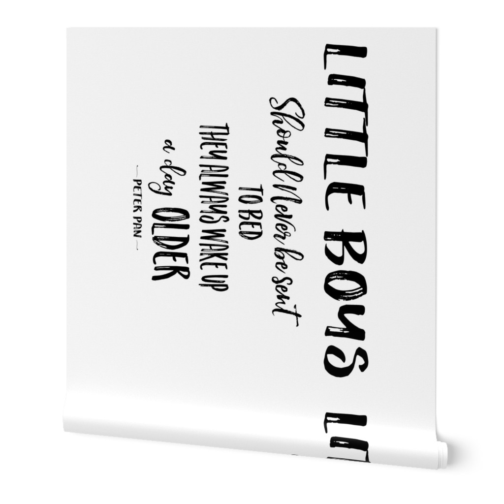 36" x 42" Little Boys Quote for Blankets