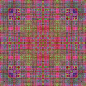 Caladium Plaid 2d