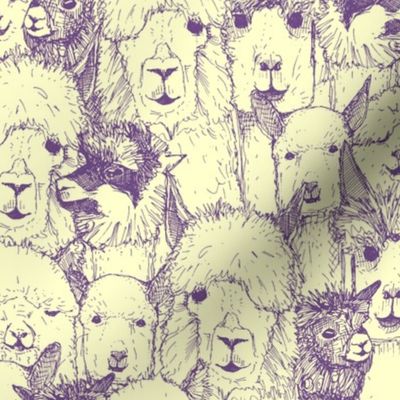 just alpacas purple cream