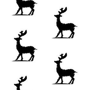 Reindeer