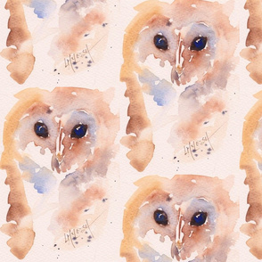 Barn_Owl