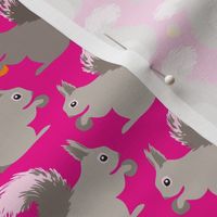 Squirrels (on hot pink)