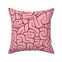 Brains and intestines, pretty in pink