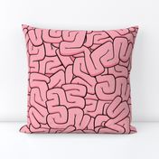 Brains and intestines, pretty in pink