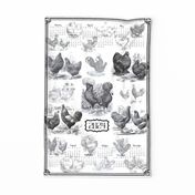 Poultry Envy Tea Towel Toile 2024 Calendar White Black