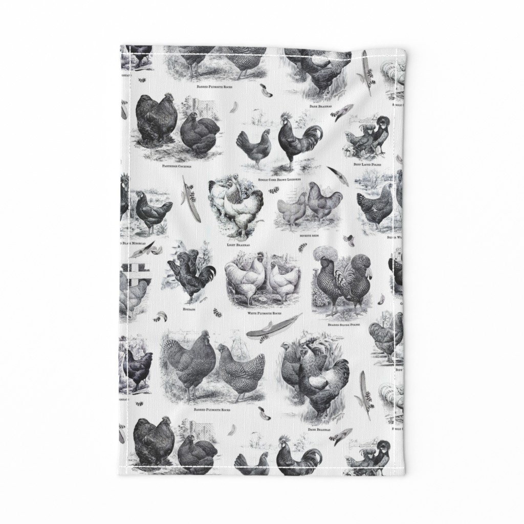 Poultry Envy White Black Toile 