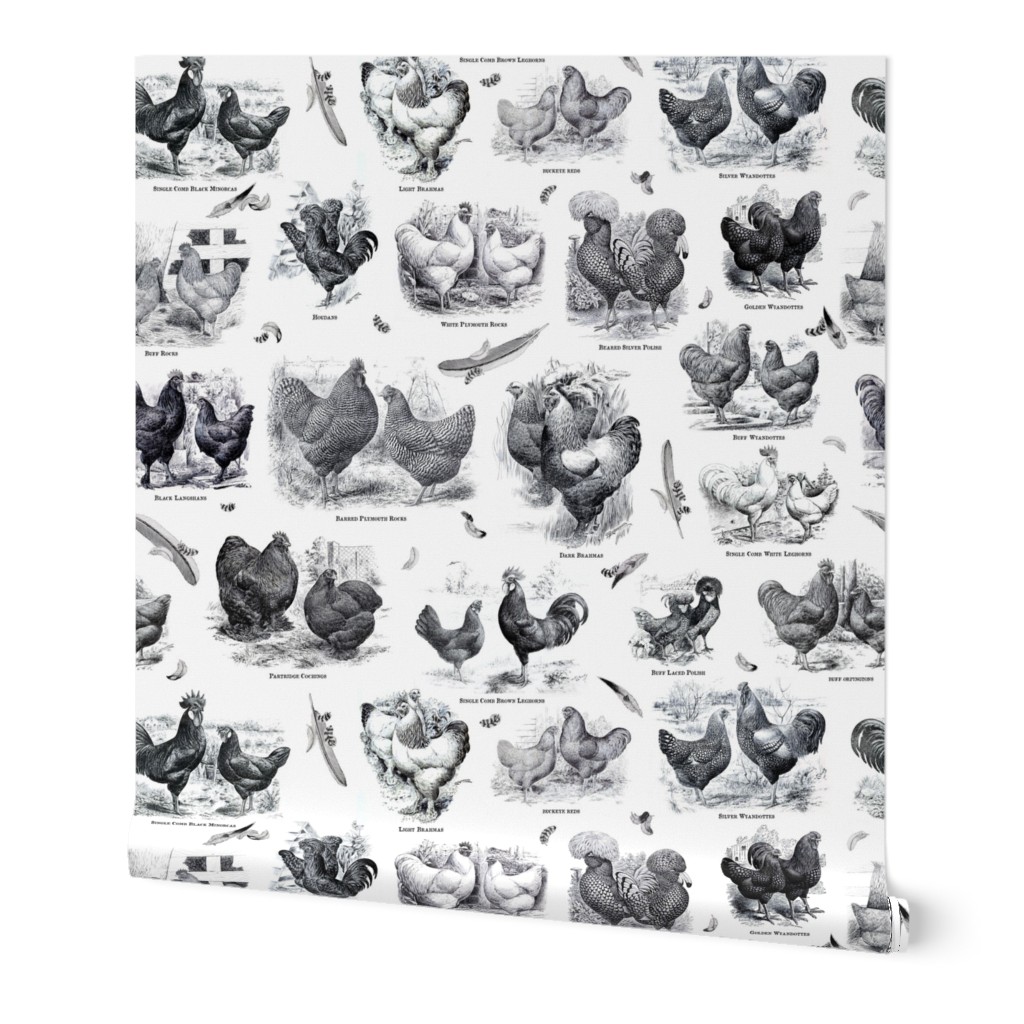 Poultry Envy White Black Toile 