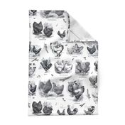 Poultry Envy White Black Toile 