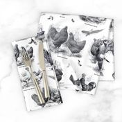 Poultry Envy White Black Toile 