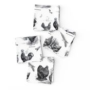 Poultry Envy White Black Toile 