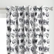 Poultry Envy White Black Toile 