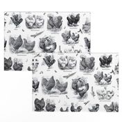 Poultry Envy White Black Toile 