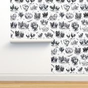 Poultry Envy White Black Toile 