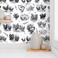 Poultry Envy White Black Toile 