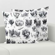 Poultry Envy White Black Toile 