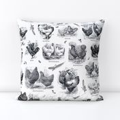 Poultry Envy White Black Toile 