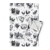 Poultry Envy White Black Toile 