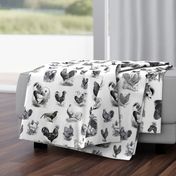 Rooster Strut White Black Toile