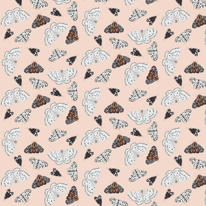 Moths in muted tones