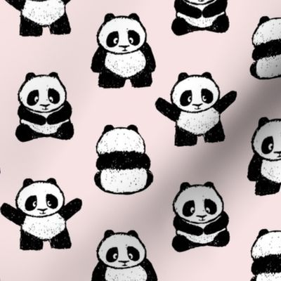 pandas on blossom || pandamonium