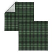 Forest green plaid