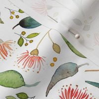 Eucalyptus scatter - watercolour