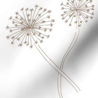 dandelion-white