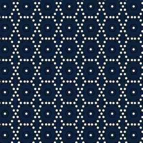dots_hex_wired_navy