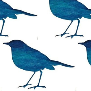 Blue Birds Aqua White