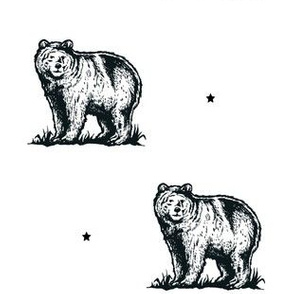 Adventure Bear with Stars in Black & White