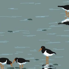 parcel of oystercatchers 2