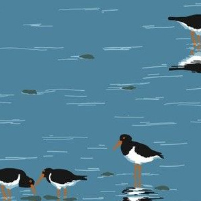 parcel of oystercatchers 3