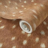 Soft Deer Hide // Spring Fawn