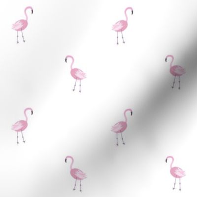 Small Pink Flamingos 