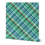 Mainly Mint Green and Blue Madras Plaid