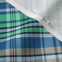 Mainly Blue and Green Madras Plaid Larger Scale