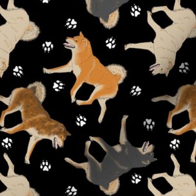 Trotting Shiba Inu and paw prints - black