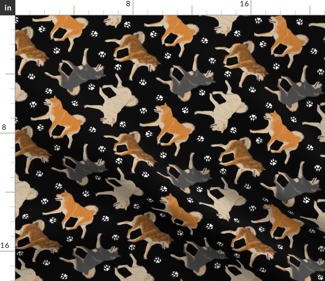 Trotting Shiba Inu and paw prints - black