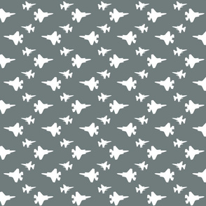 F35 Jet in a gray and white offset pattern