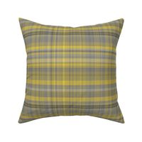 Yellow and Gray Plaid