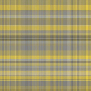 Yellow and Gray Plaid