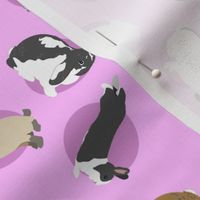 Tiny assorted rabbits - pink