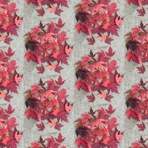  Autumn Leaves and Concrete