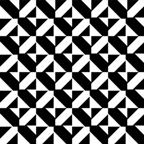 Black and White Geometric