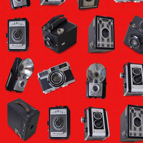 Vintage Cameras on red linen
