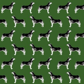 husky fabric cute huskies fabric best dog fabrics cute dogs