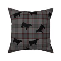 Black Steers on Grey & Red Plaid