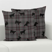 Black Steers on Grey & Red Plaid