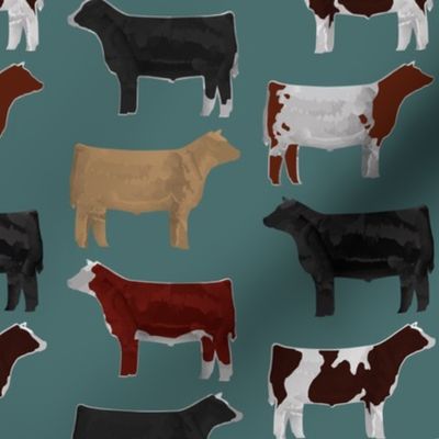 Steer Breeds on Teal